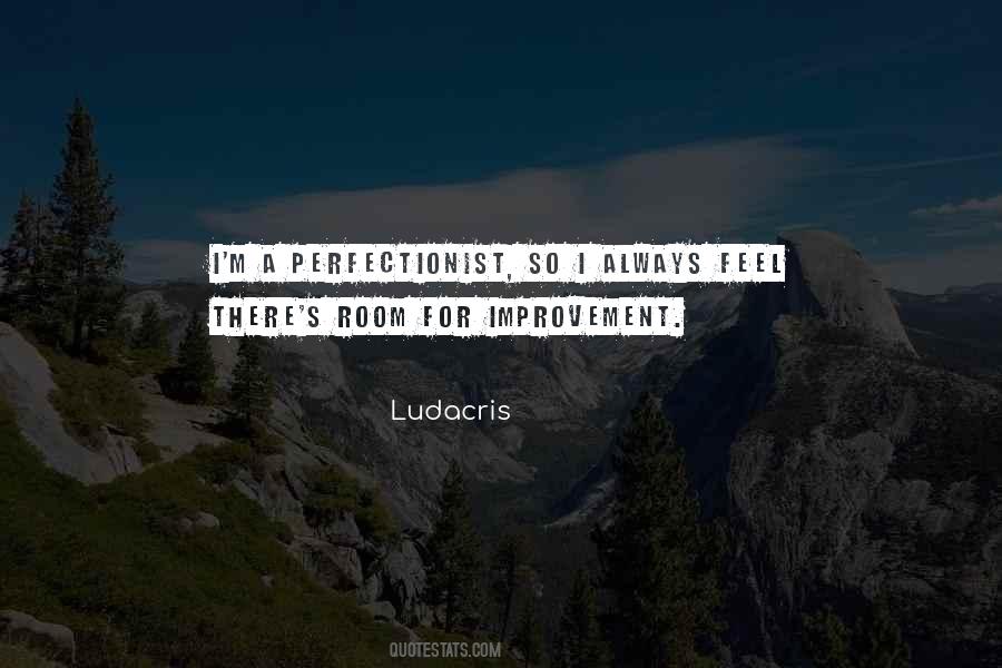 I'm A Perfectionist Quotes #110222