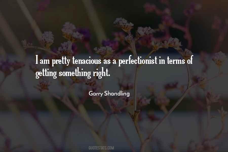 I'm A Perfectionist Quotes #288970