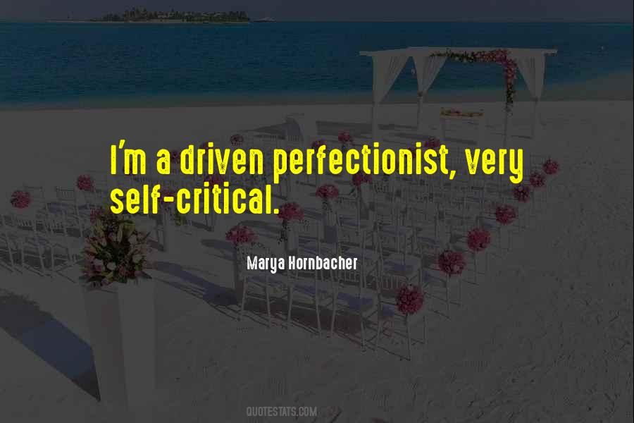 I'm A Perfectionist Quotes #504889