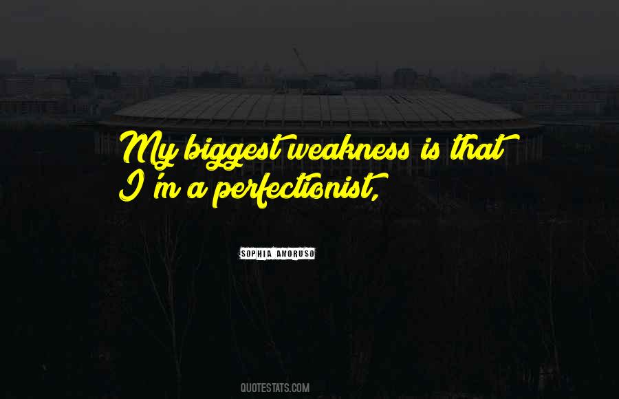 I'm A Perfectionist Quotes #825191