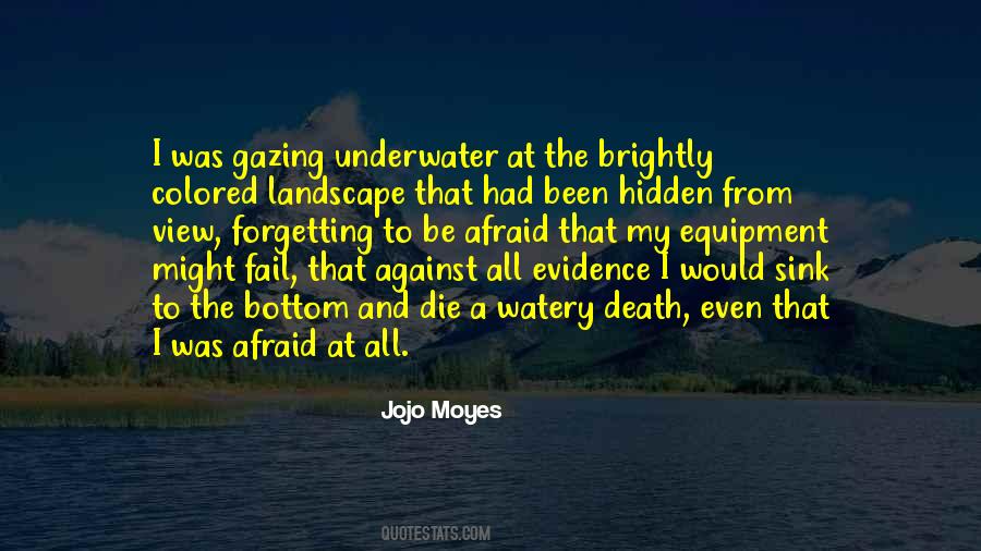 I'm Afraid To Die Quotes #1337631