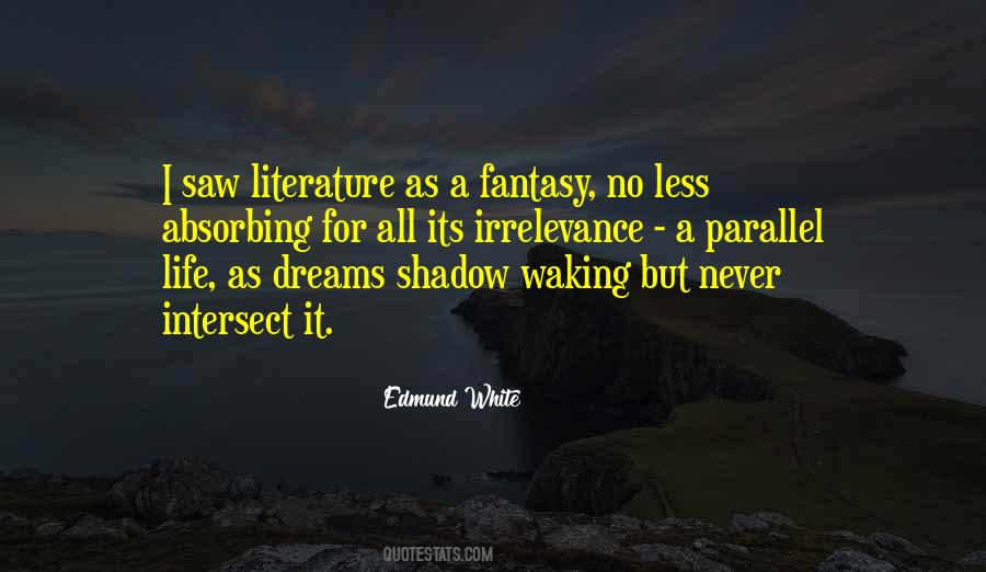 Quotes About Fantasy Life #376954