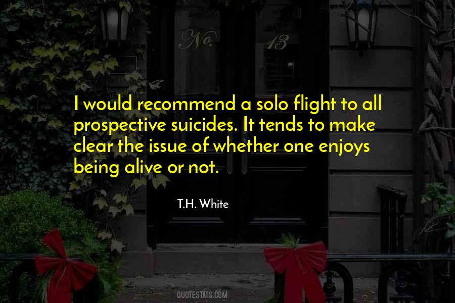 I'm Flying Solo Quotes #1039458