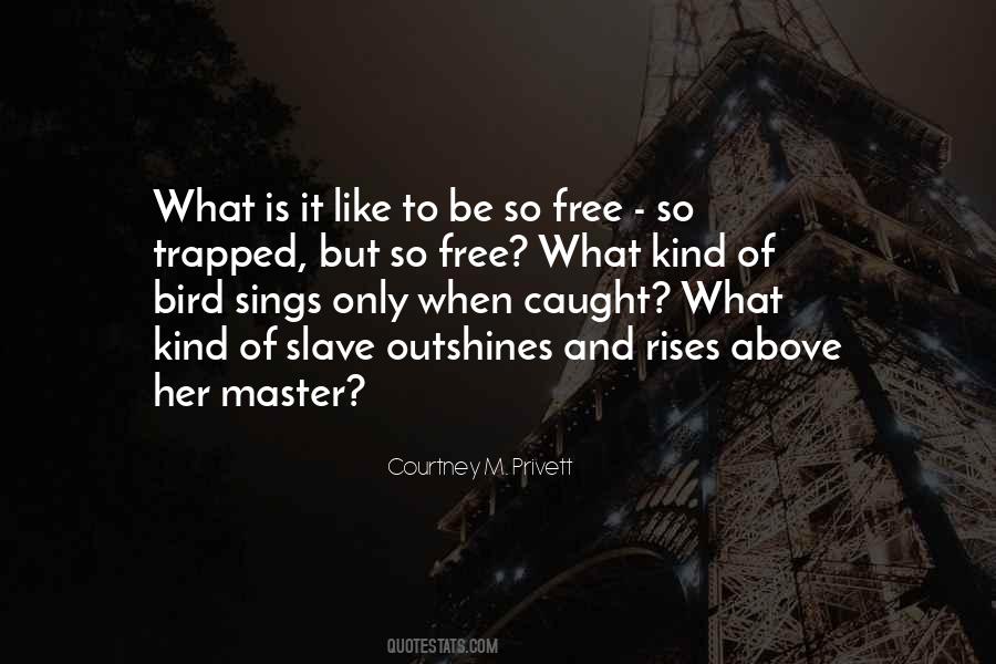 I'm Free Like A Bird Quotes #1851970