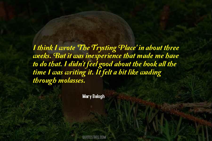 I'm In A Good Place Quotes #108399