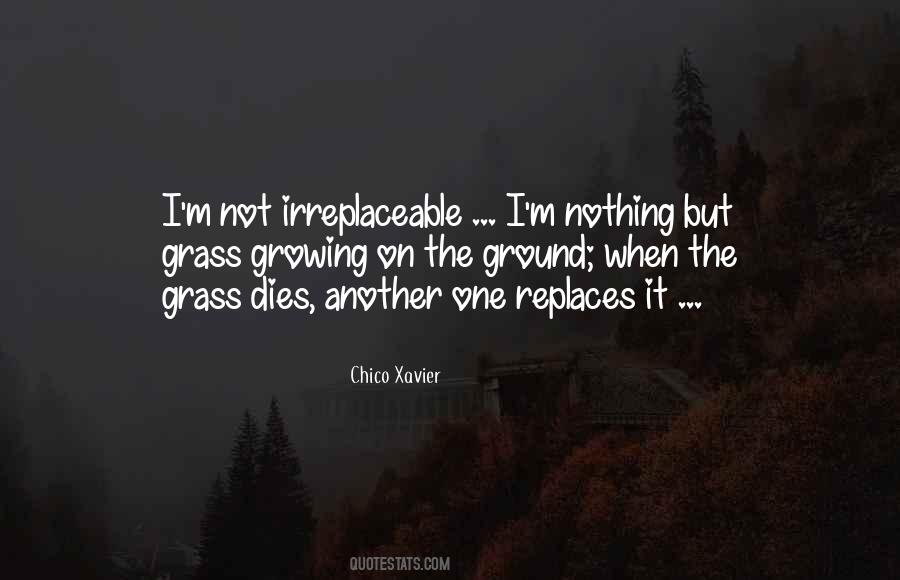 I'm Irreplaceable Quotes #33461