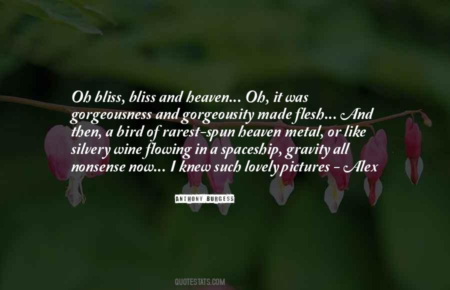 I'm Like A Bird Quotes #208365