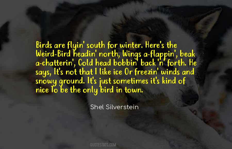 I'm Like A Bird Quotes #41116