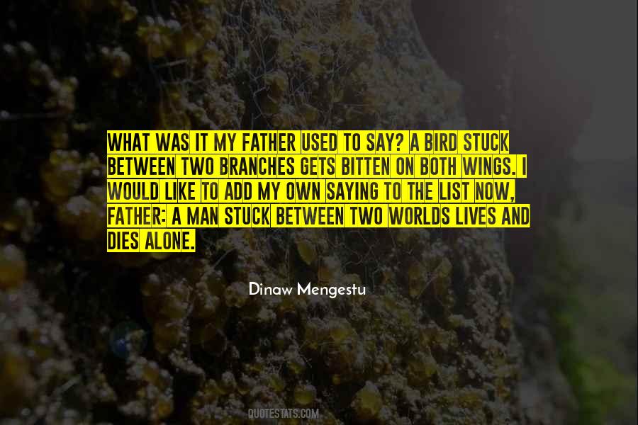 I'm Like A Bird Quotes #62196