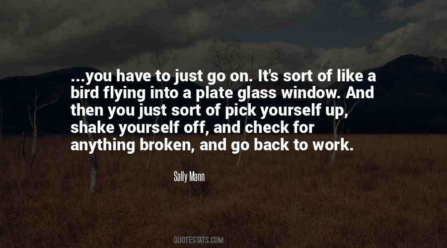 I'm Like Broken Glass Quotes #249867