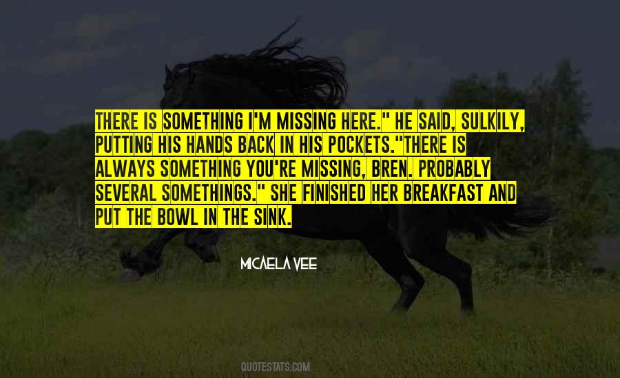 I'm Missing Something Quotes #1023945