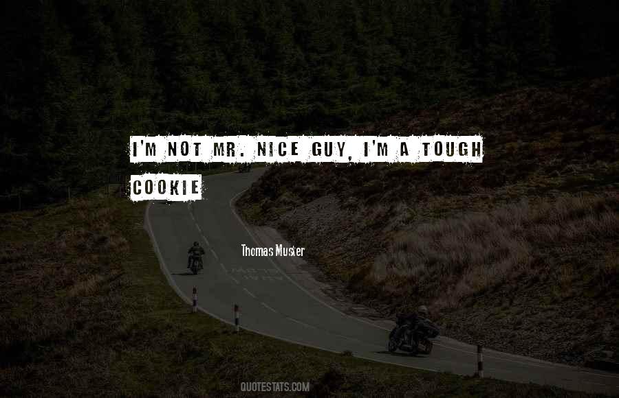 I'm Not A Nice Guy Quotes #537445