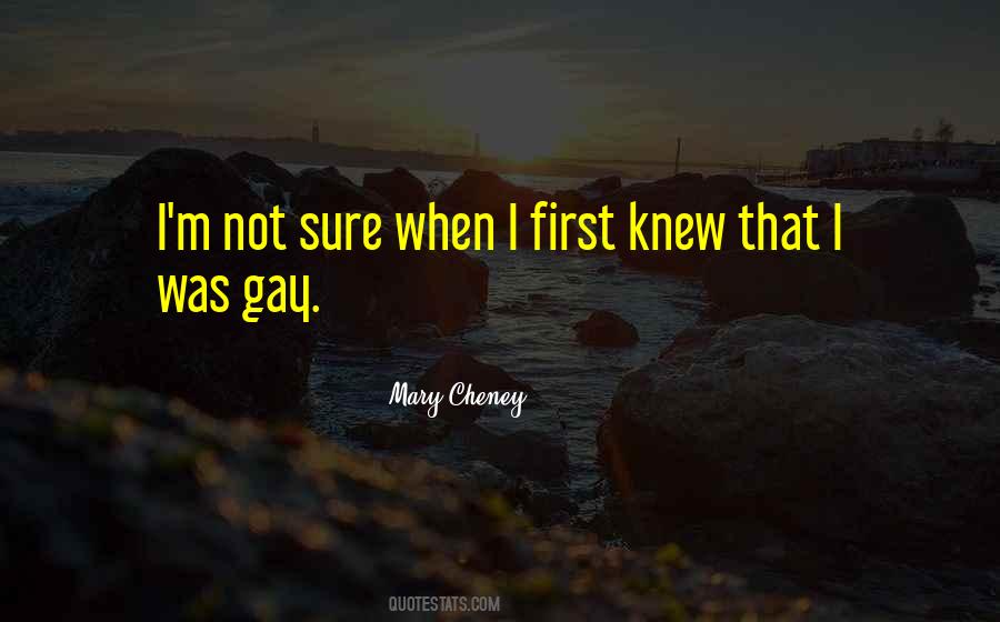 I'm Not Gay Quotes #638632