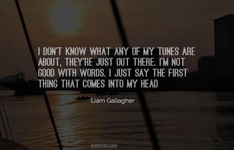 I'm Not Good Quotes #1622667