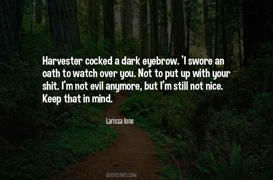 I'm Not Nice Anymore Quotes #168162