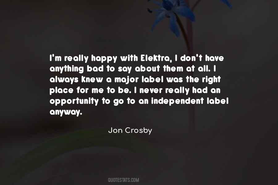 I'm Really Happy Quotes #1436021