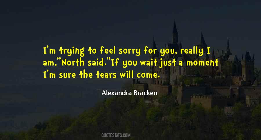 I'm Really Sorry Quotes #1731511
