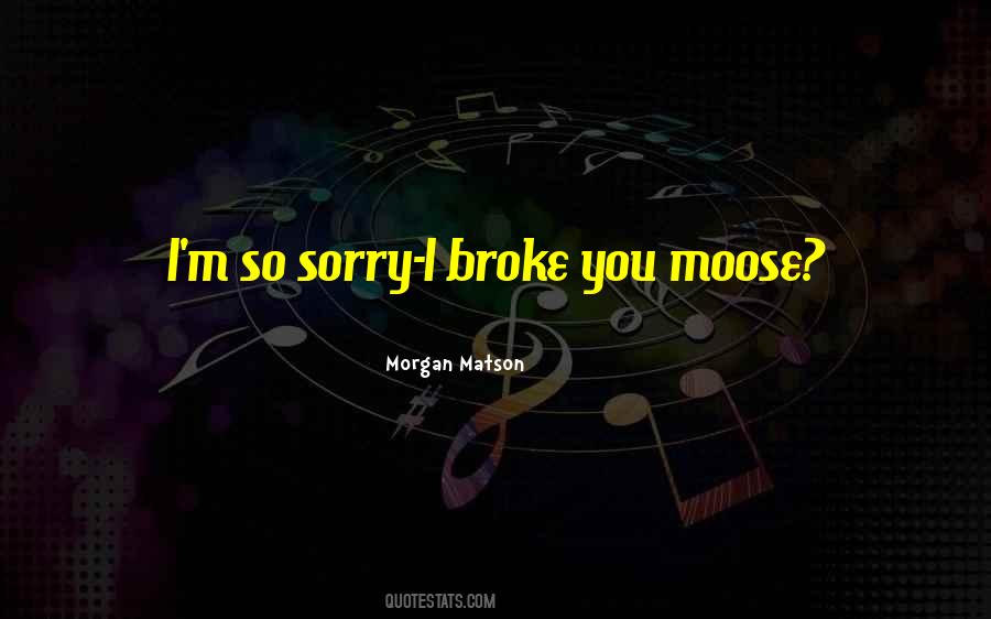 I'm So Sorry Quotes #1062983