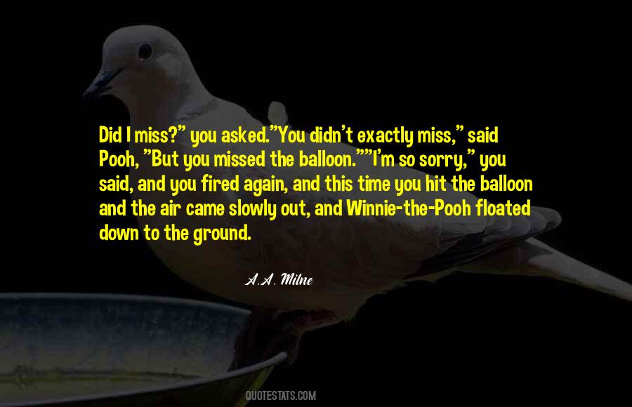 I'm So Sorry Quotes #1795937