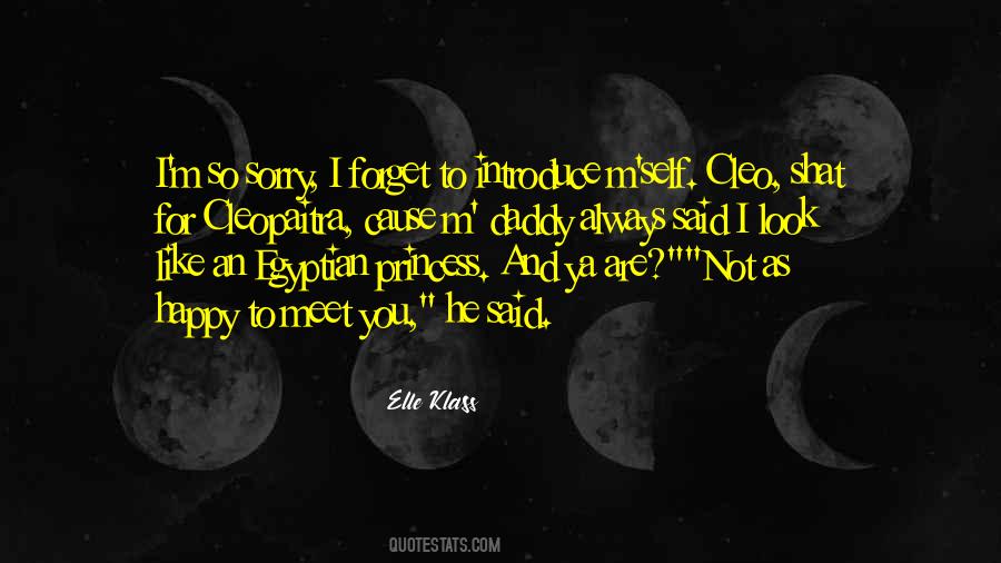 I'm So Sorry Quotes #975369
