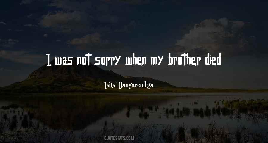 I'm Sorry Brother Quotes #1689074