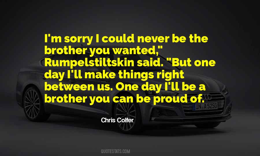 I'm Sorry Brother Quotes #306267