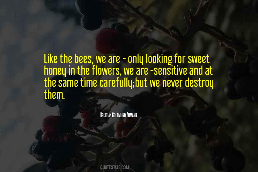 I'm Sorry Honey Quotes #36214