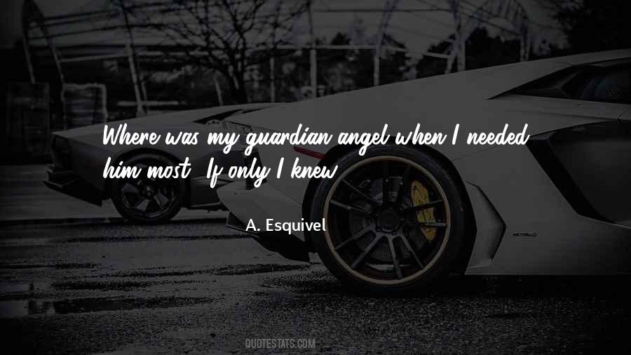 I'm Your Guardian Angel Quotes #430660