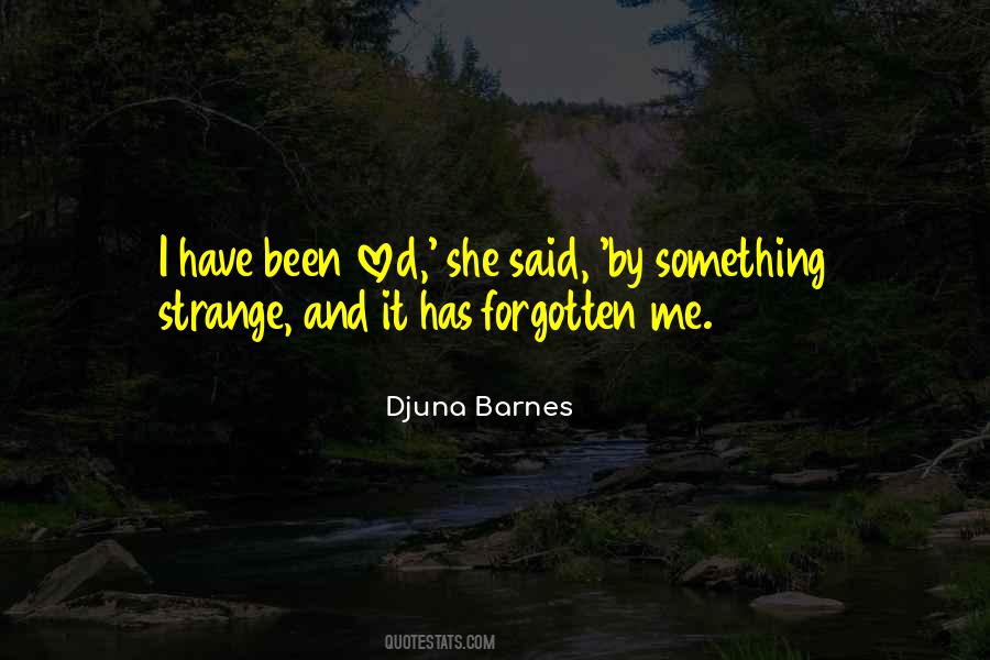 I've Been Forgotten Quotes #1807049