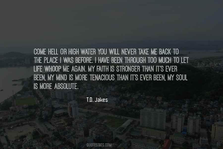 I've Been Through Hell Quotes #1260636