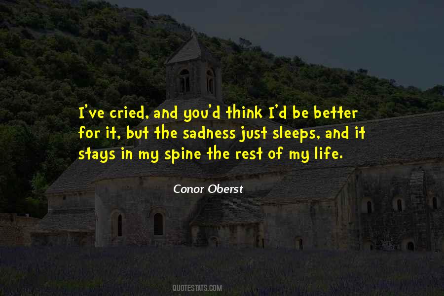 I've Cried Quotes #641842