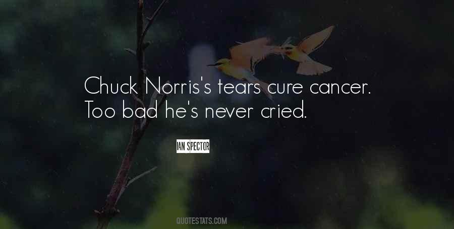 I've Cried So Many Tears Quotes #314434