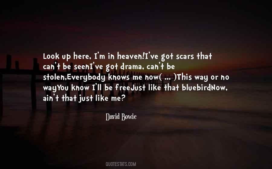 I've Got Scars Quotes #549450