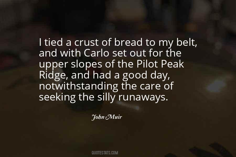 I've Had A Good Day Quotes #1734324