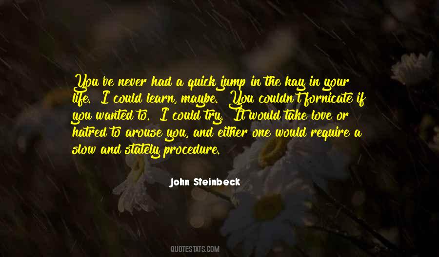 I've Never Had Quotes #67800 I've Never Had Quotes #67800