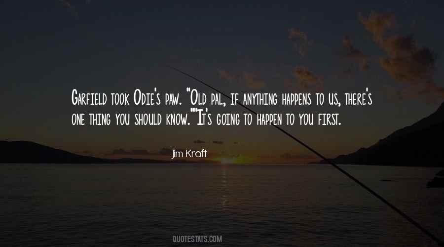If Anything Happens To You Quotes #987350