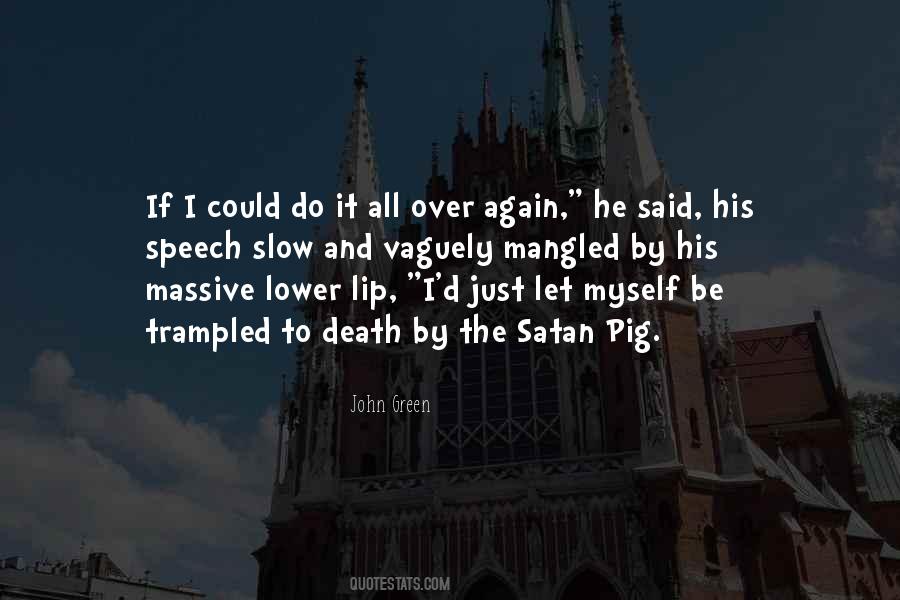 If I Could Do It All Over Again Quotes #684133