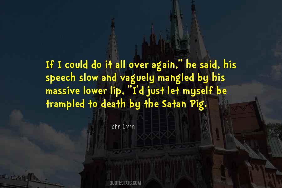 If I Could Do It Over Again Quotes #684133