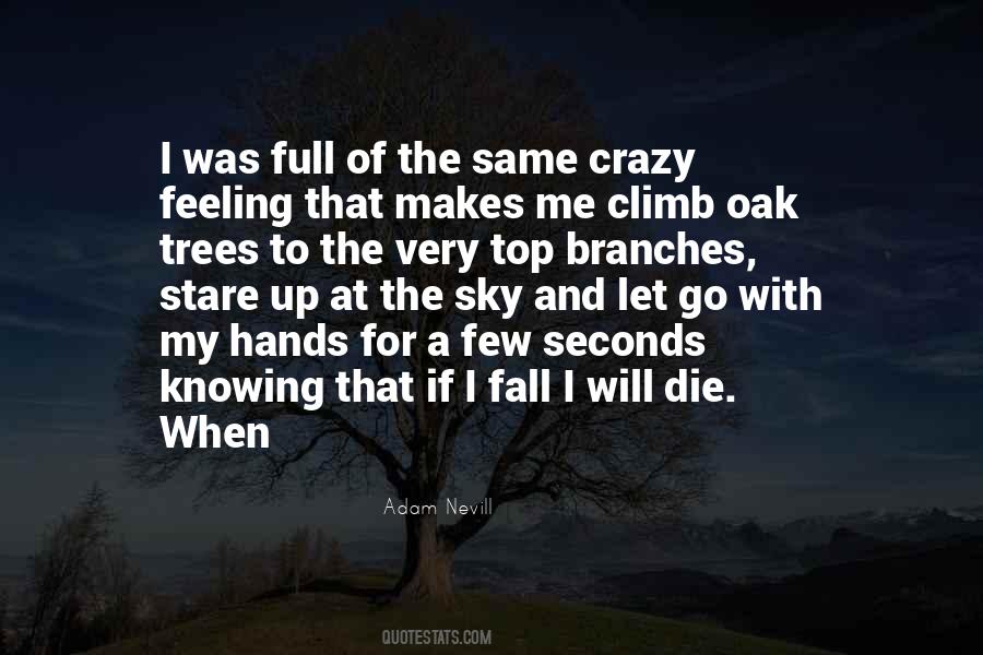 If I Fall Quotes #969465