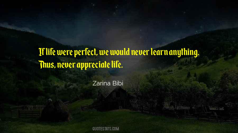 If Life Were Perfect Quotes #712876