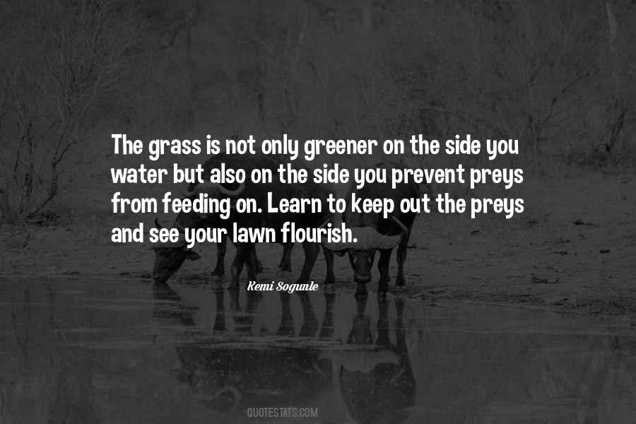 If The Grass Is Greener On The Other Side Quotes #481738