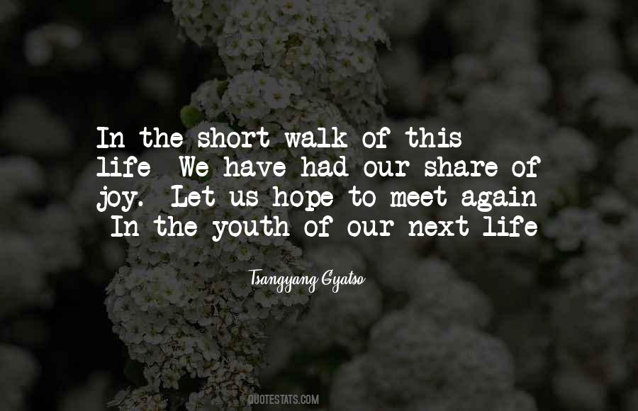 If We Meet Again Quotes #101871