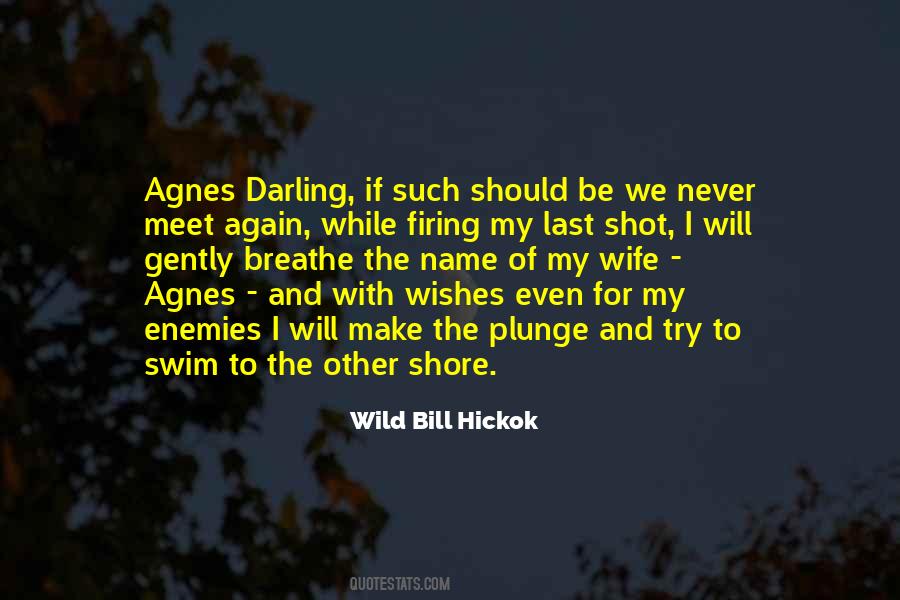 If We Meet Again Quotes #1727582