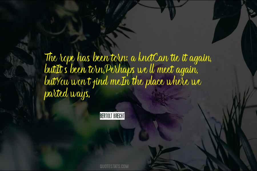 If We Meet Again Quotes #275028