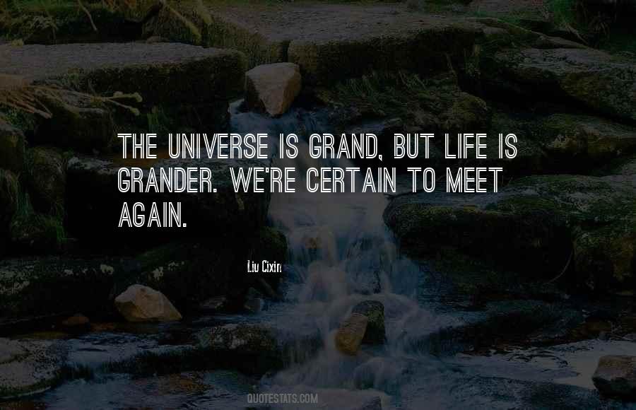 If We Meet Again Quotes #415409