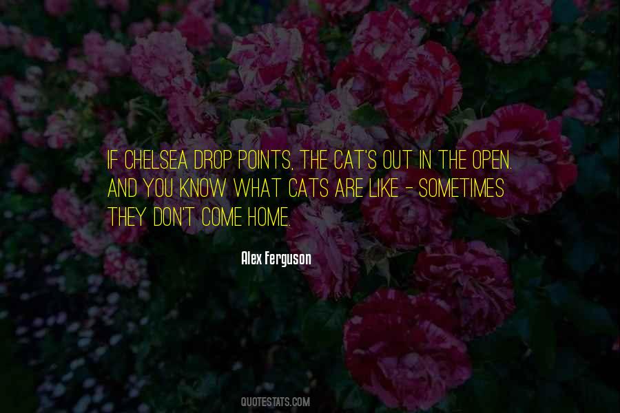 If You Don't Like Cats Quotes #1041913