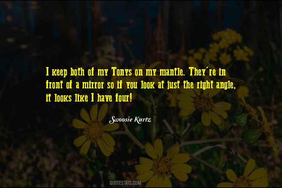If You Look In The Mirror Quotes #1623217