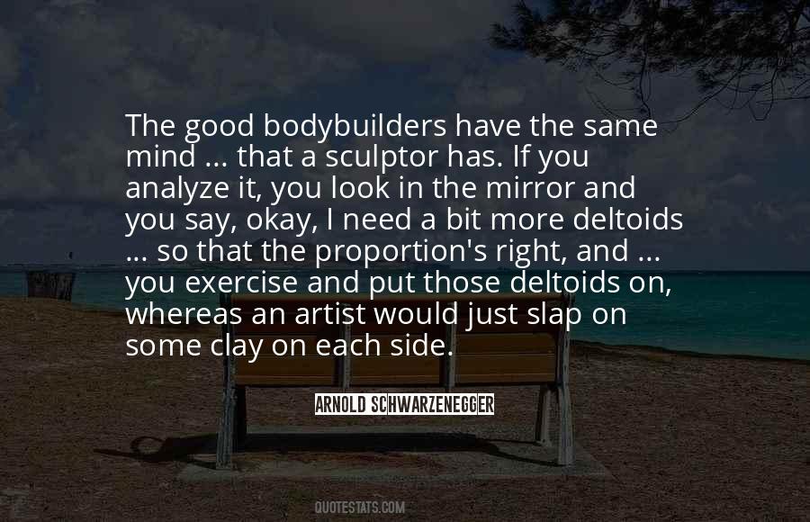 If You Look In The Mirror Quotes #329386