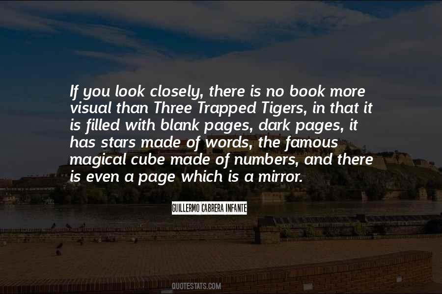 If You Look In The Mirror Quotes #568334