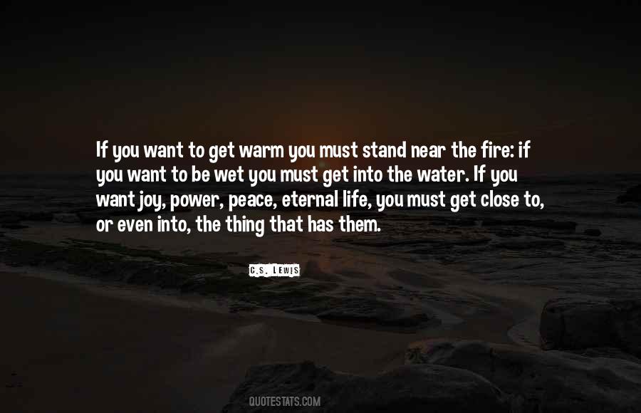 If You Want Peace Quotes #1502059